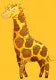 Scimmia e amici - 6 puzzle