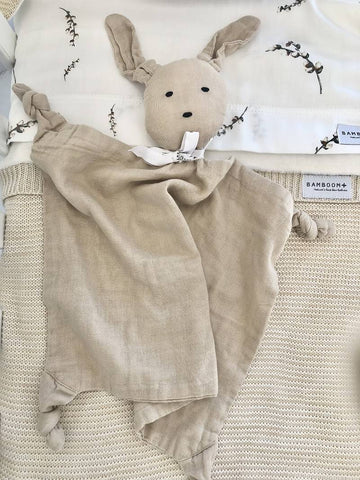 DouDou- Camel